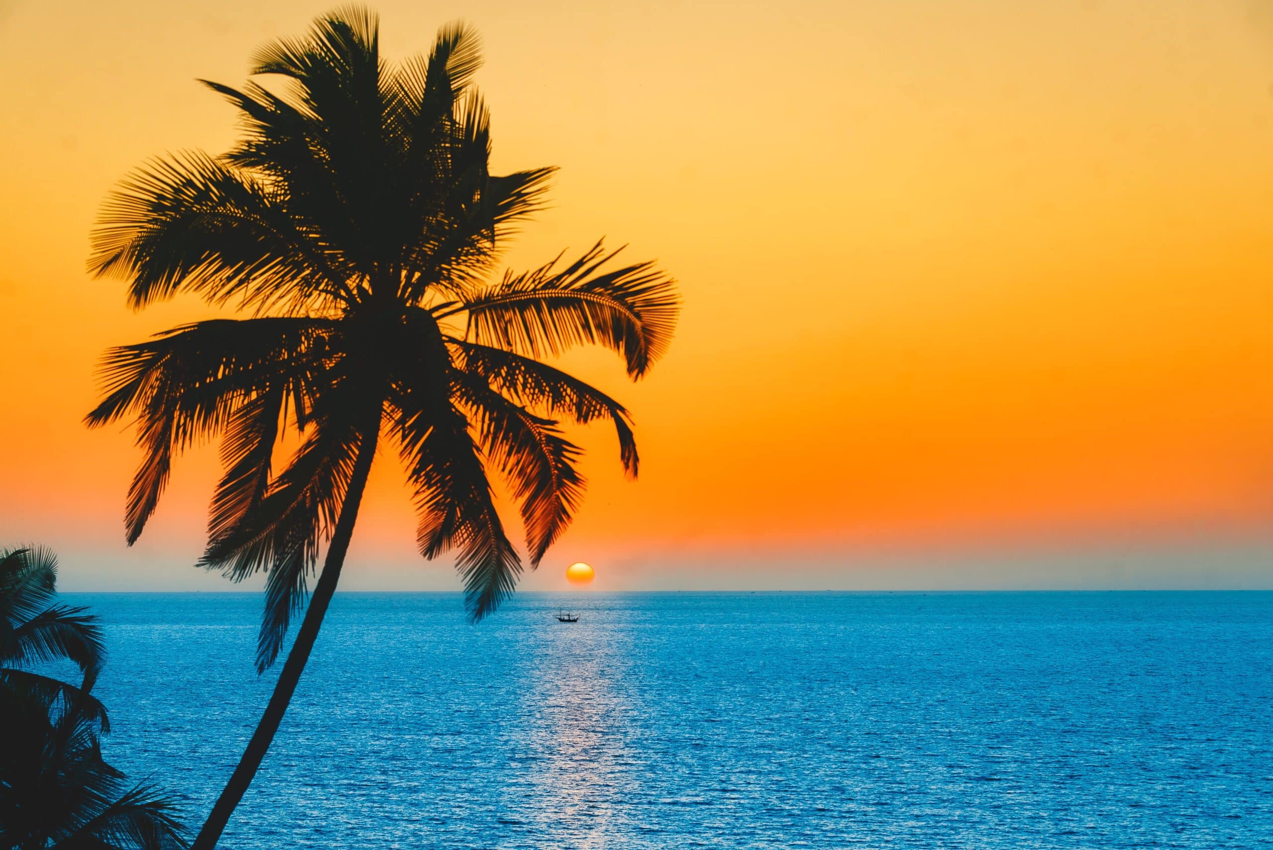 Hidden Beaches of Goa: Secret Spots Away from the Crowds