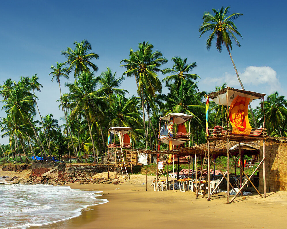 Goa Food Guide: Must-Try Dishes and Where to Find Them