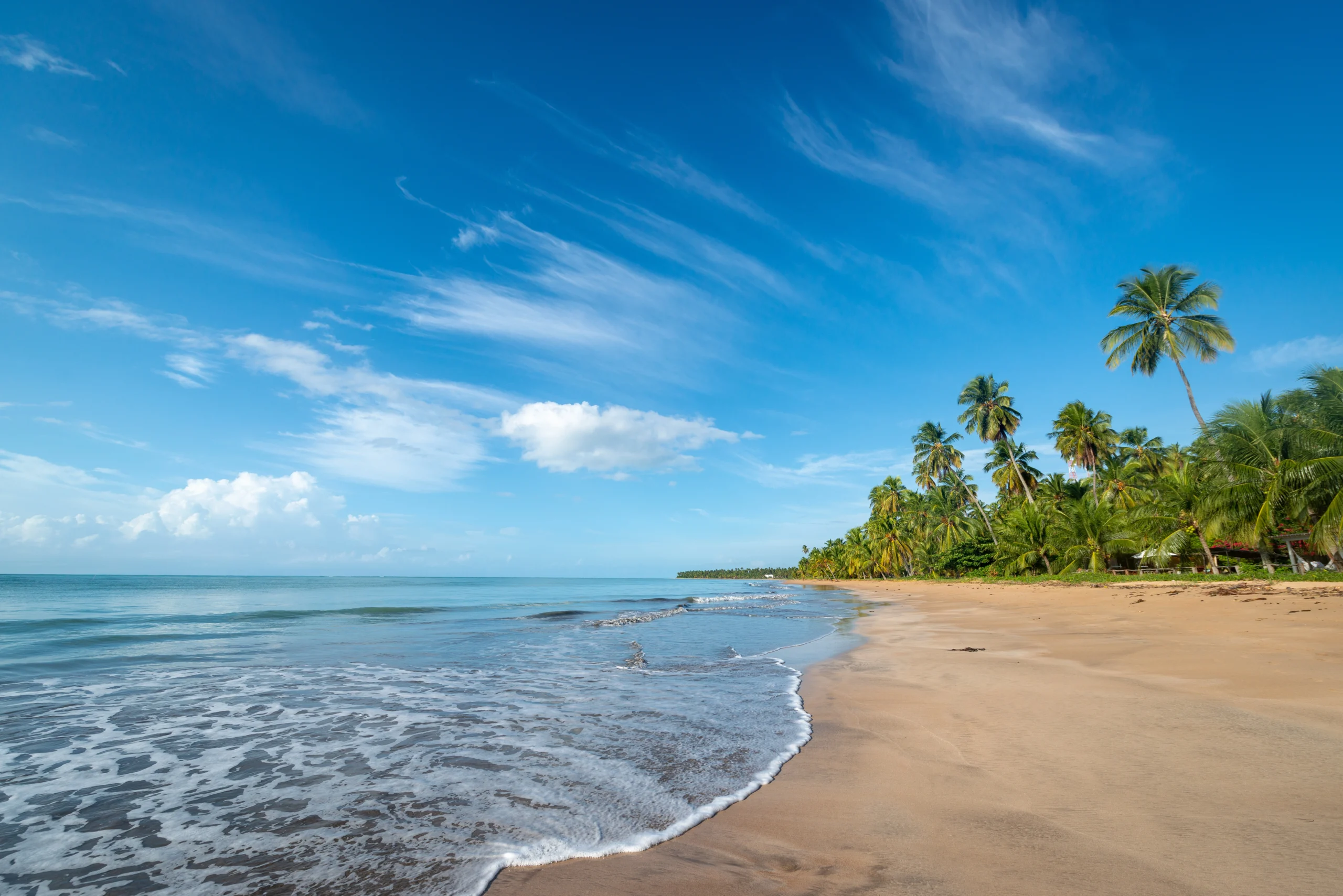 Top 10 Solo Travel Experiences in Goa